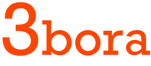 3bora logo